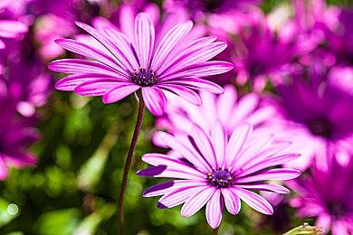 《怪物猎人：荒野》完整版详细改进细节公开