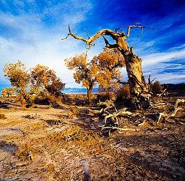 《蓝色协议》欧美服没乳摇了 美女们穿得更严实！